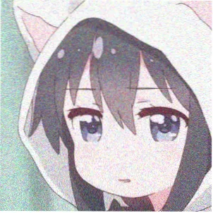 影评人